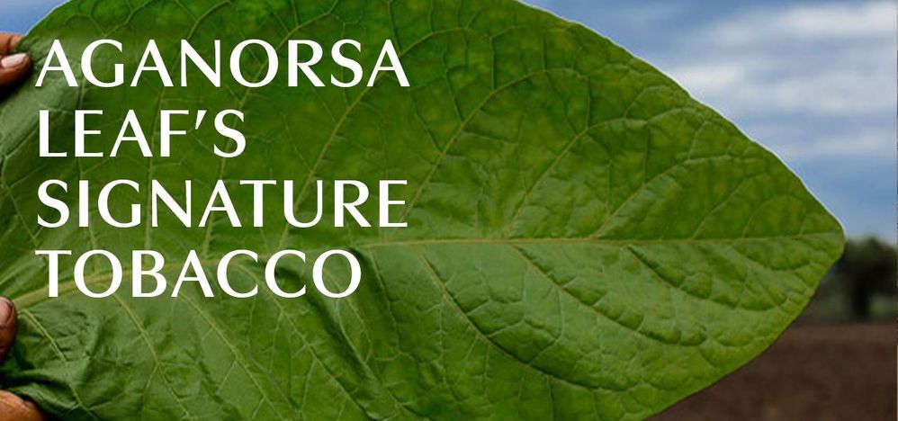 Aganorsa Leaf's Signature Tobacco